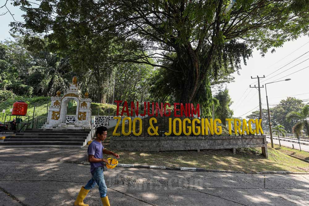  PT Bukit Asam Tbk. (PTBA) Membuat Mini Zoo dan Jogging Track di Reklamasi Bekas Tambang Batu Bara