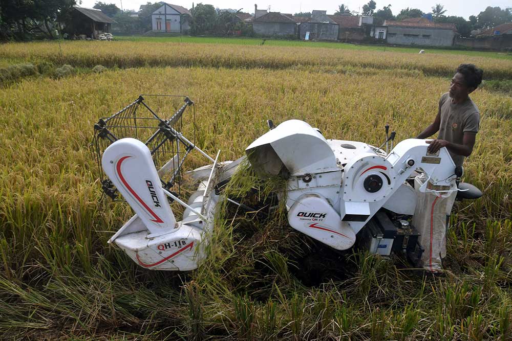  Petani Mulai Menggunakan Mesin Pemanen Padi Bantuan Pemerintah
