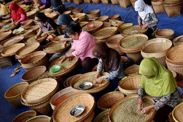 Pekerja menyortir biji kopi sebagai komoditas ekspor./Antara-Aditya Pradana Putra 