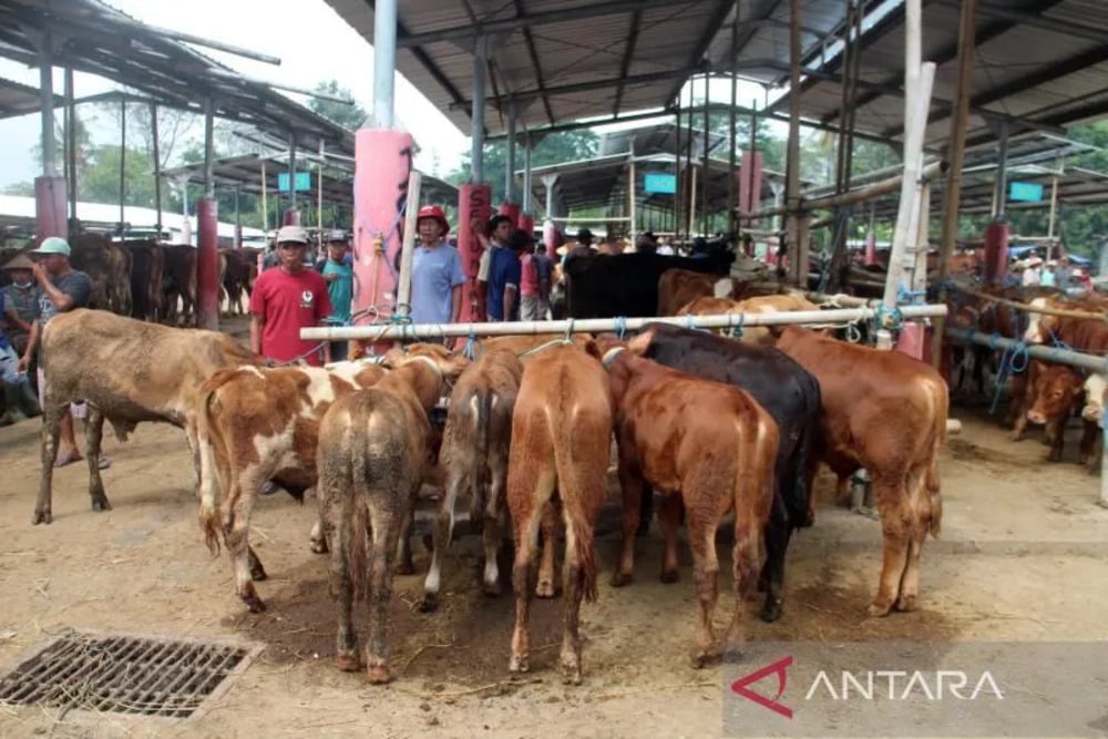  Lima Pasar Hewan di Boyolali Kembali Dibuka