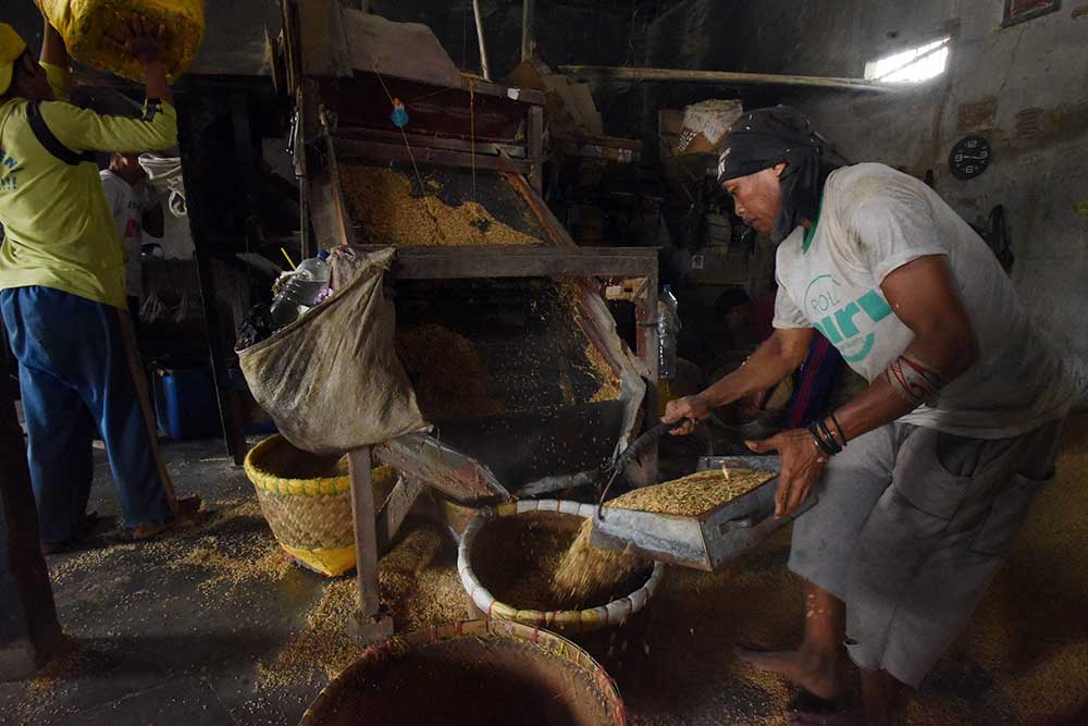  Harga Gabah Kering di Tingkat Petani Naik Menjadi Rp5.850 per Kilogram