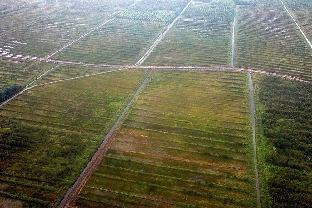  Petani Meminta Pemerintah Untuk Merehabilitasi Irigasi Food Estate di Kalimantan Tengah