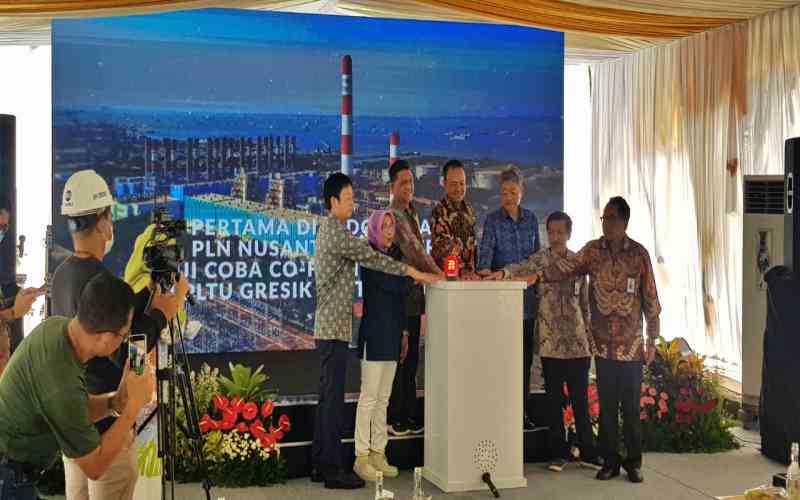  PLN Nusantara Power Mulai Uji Coba Co-Firing Amonia di PLTU Gresik 1