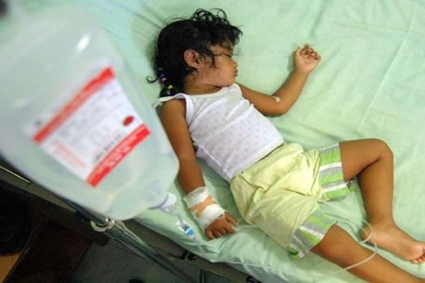 Penderita demam berdarah dengue (DBD)/Antara