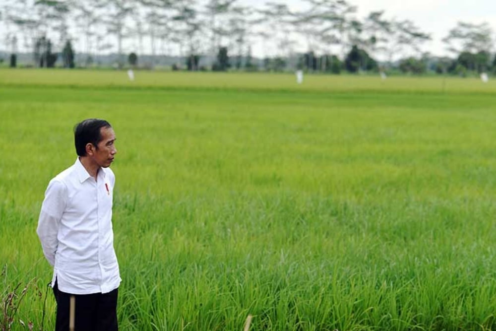 Presiden Joko Widodo meninjau lahan yang akan dijadikan Food Estate atau lumbung pangan baru di Kapuas, Kalimantan Tengah, Kamis (9/7/2020). Pemerintah menyiapkan lumbung pangan nasional untuk mengantisipasi krisis pangan dunia. ANTARA FOTO - Hafidz Mubarak A