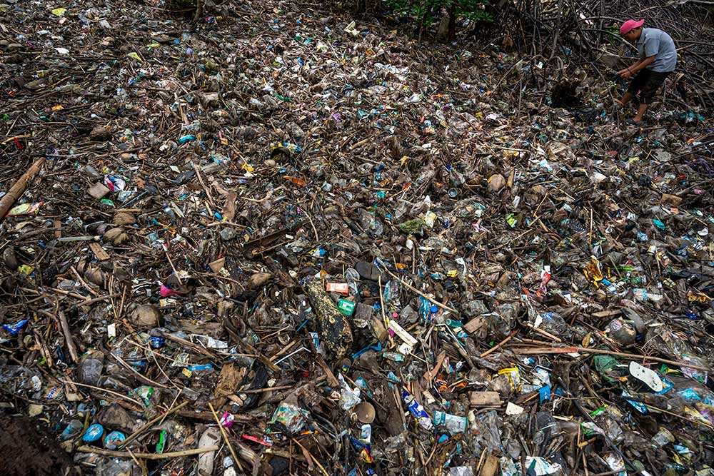  Identifikasi Sampah Kemasan Plastik Yang Memenuhi Kawasan Konservasi Mangrove di Donggala