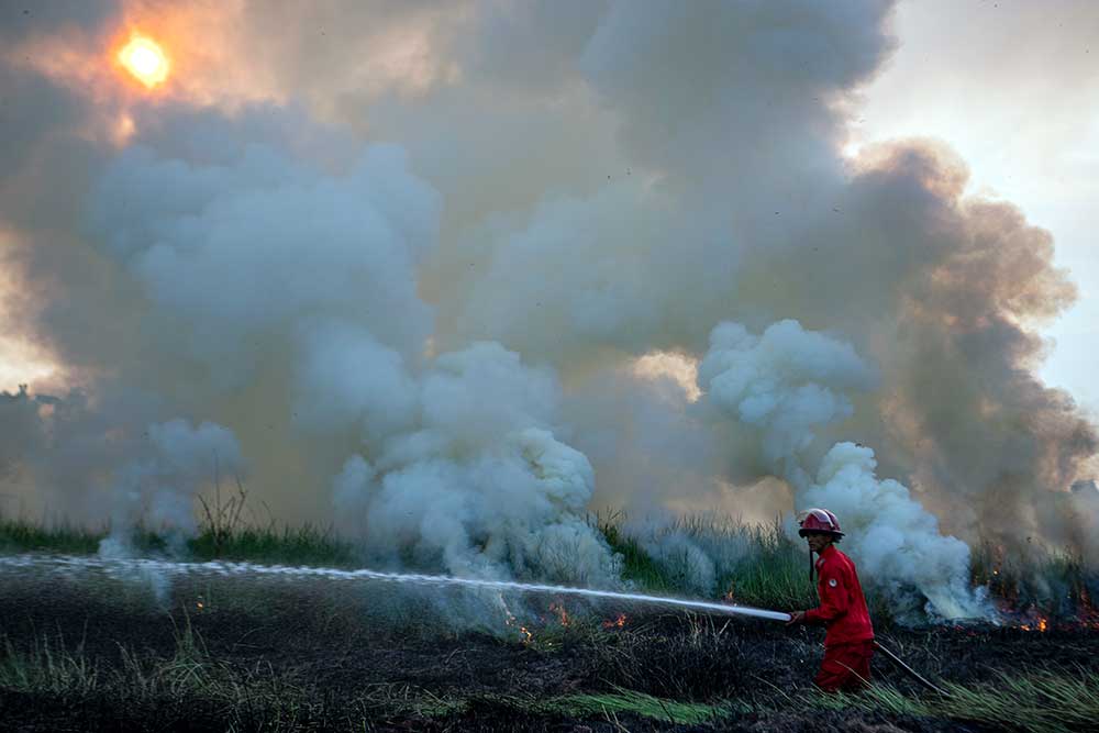 BMKG Waspadai Potensi Kebakaran Hutan di Tiga Pulau NTT