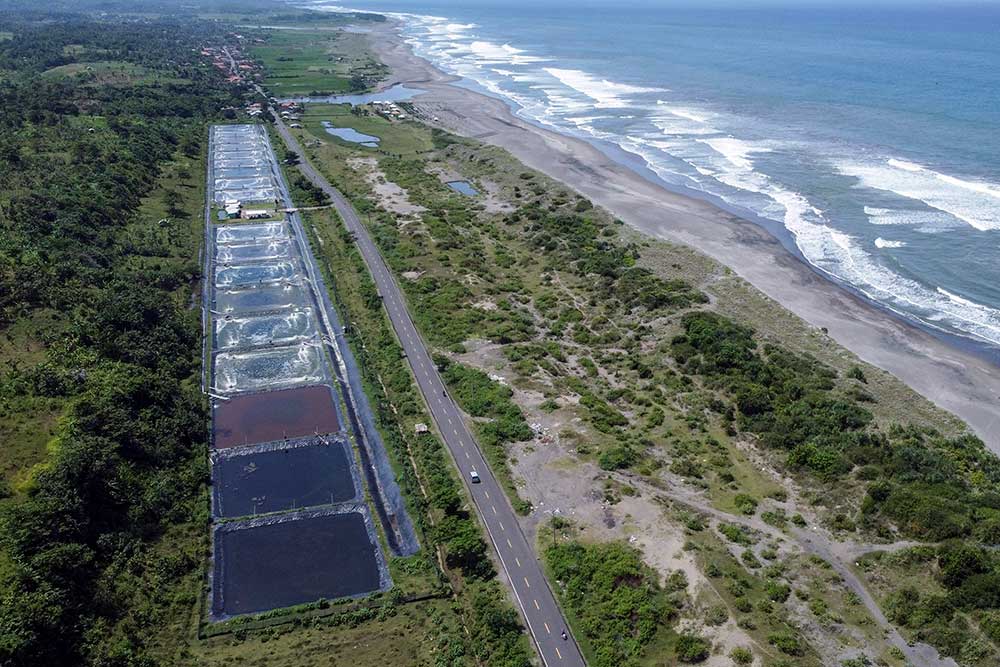  Pembangunan Jalur Pantai Selatan Jatim Perlu Dipacu