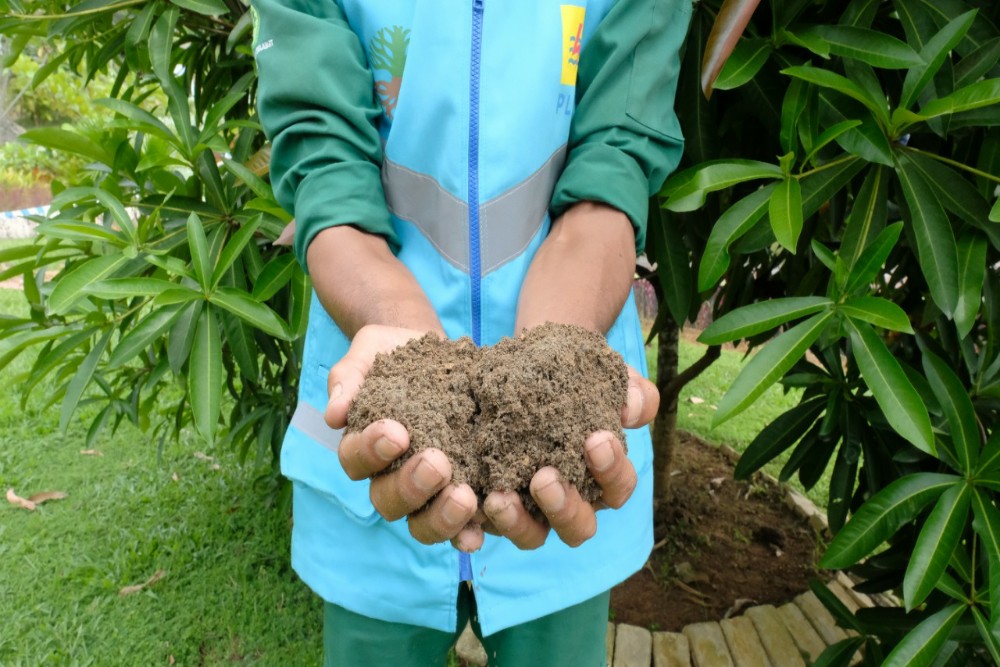  Manfaatkan FABA untuk Pupuk, Produksi Pertanian Meningkat 15 Persen