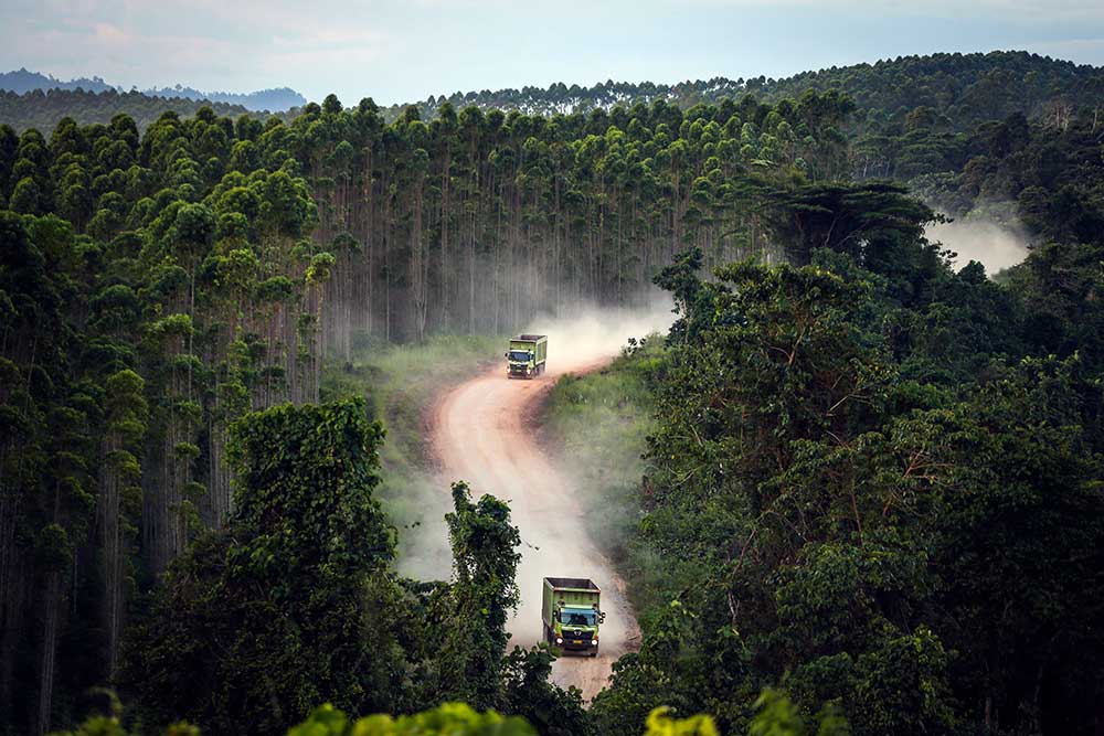  Waskita (WKST) dan PTPP Menang Tender Proyek Istana Presiden di IKN