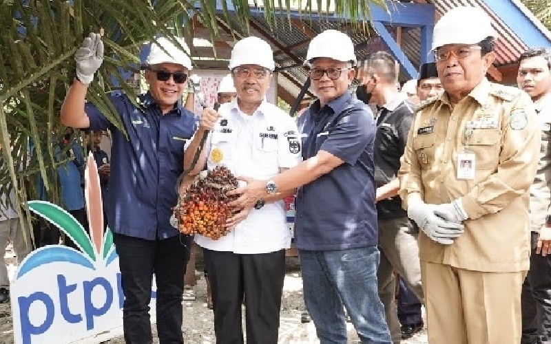  Gubernur Riau Sebut Peremajaan Sawit Rakyat PTPN V Tingkatkan Produktivitas Petani