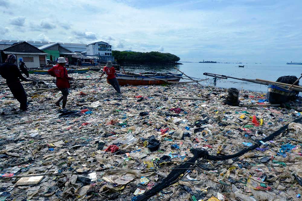  Pantai Sukaraja di Lampung Dipenuhi Sampah Rumah Tangga