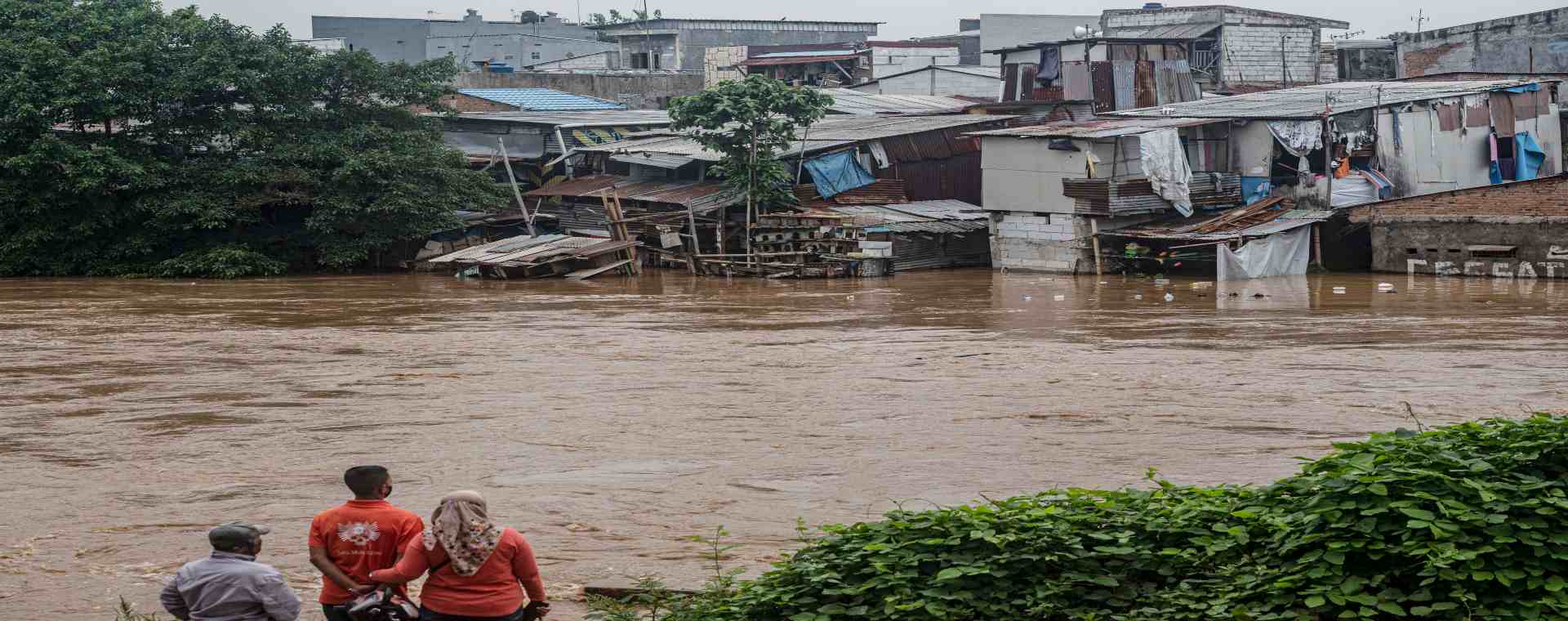  Fakta-fakta Leptospirosis, Penyakit di Musim Banjir yang Bisa Sebabkan Kematian 