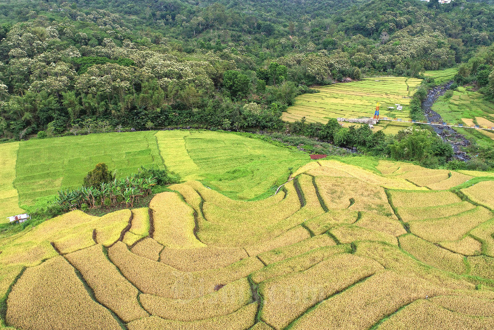  Keindahan Eko Wisata di Desa Detusoko