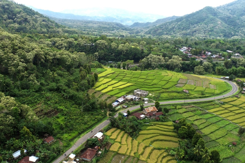  Desa Wisata Detusoko, Rest Area Indah Penyangga Danau Kelimutu