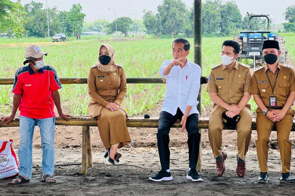 Menuju Swasembada Gula, Jokowi Targetkan 700.000 hektare Lahan Tebu Tersedia / Setpres