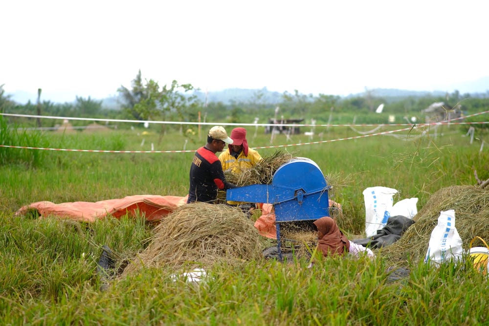  Dukung Optimalisasi Lahan Persawahan, Pupuk Kaltim Edukasi Petani Binaan di Nyerakat Kiri Bontang