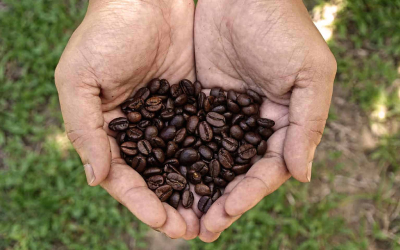 Berbicara tentang kopi di Kosta Rika berarti tertuju pada teknik chorreador. /roastycoffee.com