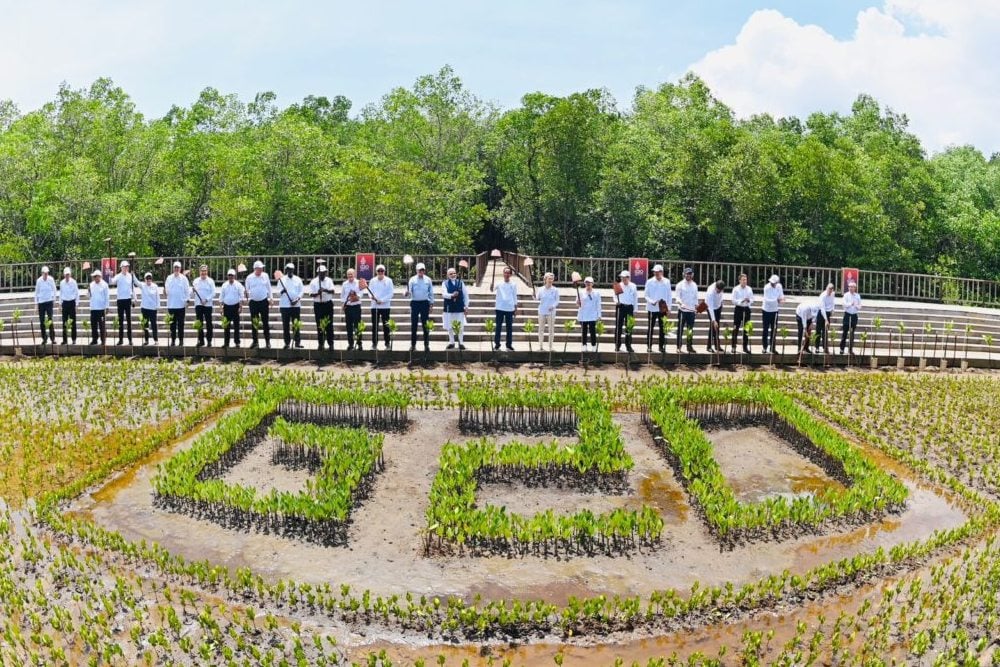  Momen Jokowi dan Pemimpin G20 Tanam Mangrove Pakai Cangkul