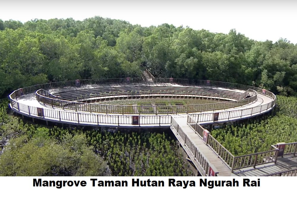  Moeldoko Ungkap Alasan Jokowi Ajak Delegasi KTT G20 Menanam Mangrove