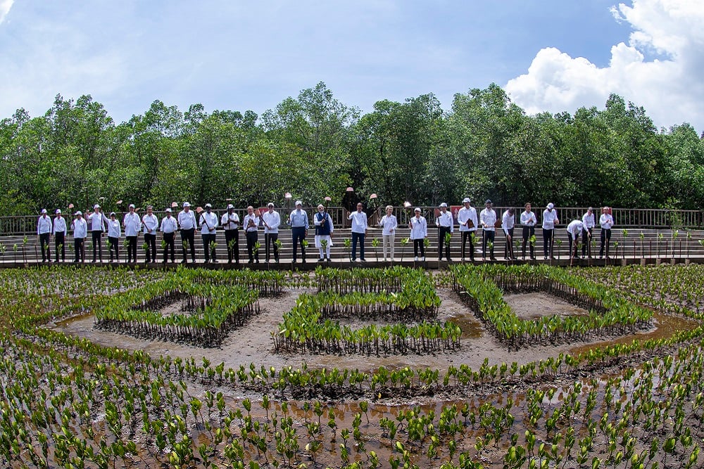  Sejarah Tahura Mangrove Ngurah Rai, Baru Dikunjungi Biden Cs