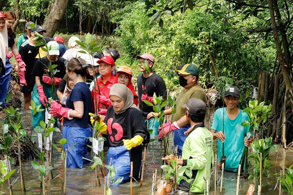  Cegah Dampak Pemanasan Global, Bukalapak Tanam Mangrove