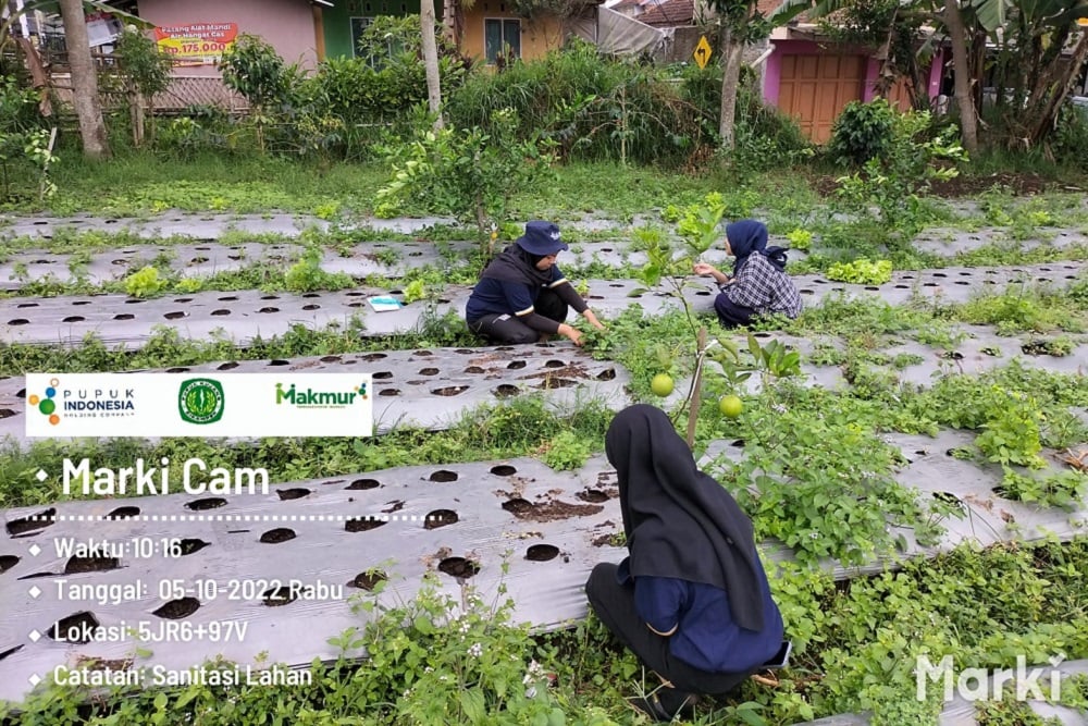  Cetak Regenerasi Petani, Pupuk Kujang Libatkan Mahasiswa dalam Program Makmur