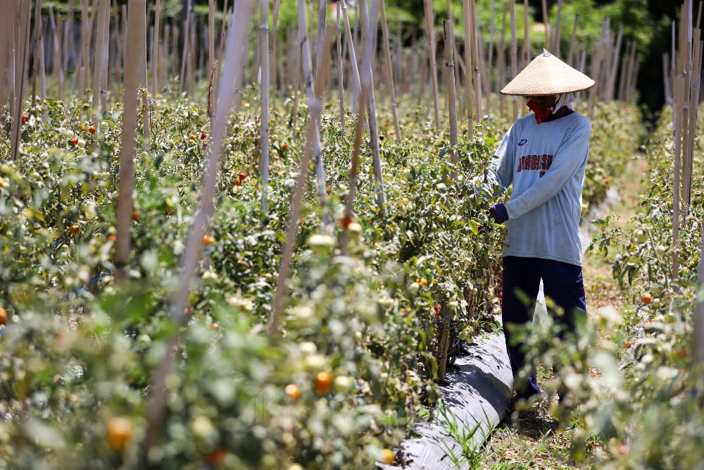  Pupuk Indonesia Siap Penuhi Kebutuhan Pupuk Domestik