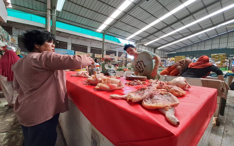  Permintaan Tinggi, Harga Telur dan Daging Ayam di Palembang Merangkak Naik