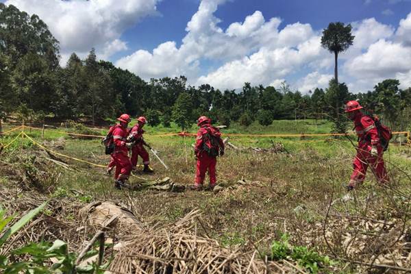  REHABILITASI LAHAN : APP Sinarmas Tanam 1.000 Pohon