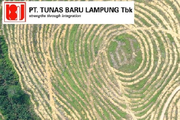 Lahan sawit yang dikelola Tunas Baru Lampung. TBLA akan membagikan dividen interim sebesar Rp40 per saham atau total Rp211,07 miliar.