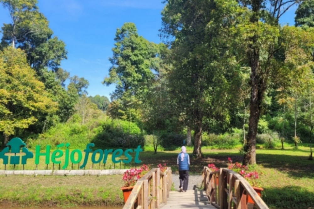  Hejo Forest, Bisa jadi Pilihan Libur Akhir Tahun untuk Keluarga