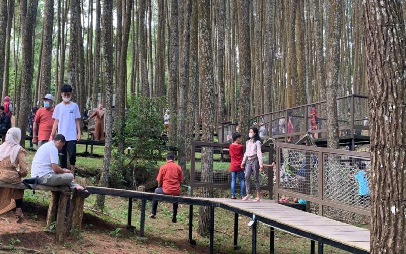 Ribuan wisatawan kembali ramai mengunjungi kawasan wisata Hutan Pinus Mangunan Dlingo yang berada di daerah perbukitan Bantul pada momen lebaran tahun ini. Tim Jelajah Lebaran Bisnis Indonesia melihat ribuan wisatawan begitu antusias menikmati liburan mereka di destinasi wisata tersebut, Kamis (5/5/2022). Bisnis/Nyoman Ary Wahyudi