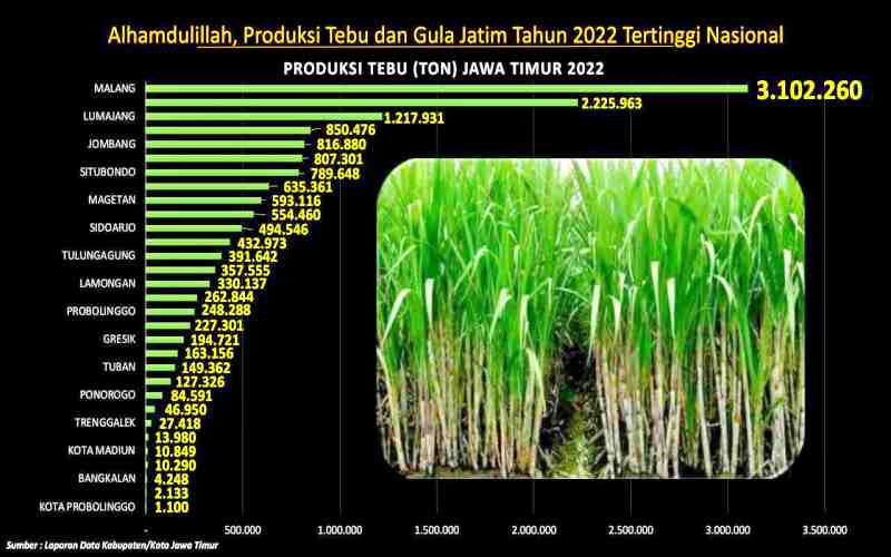 Grafis produksi tanaman tebu Jatim 2022. -Ist