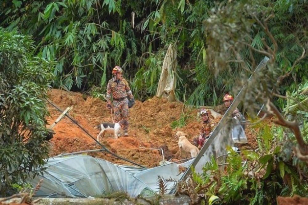  5 Berita Internasional Terpopuler Sepekan: Longsor Malaysia hingga Timnas Maroko Menang