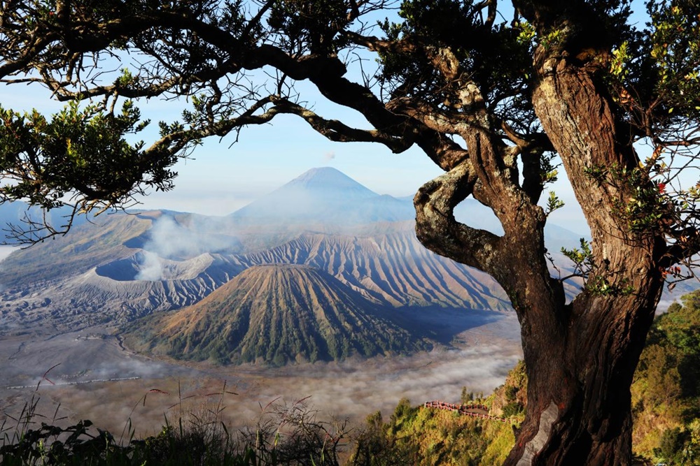  Simak 10 Tempat Wisata Bromo yang Terkenal dan Instagramable