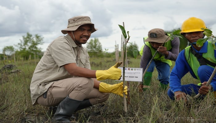  PTBA Dukung Pelestarian Habitat Burung dan Mangrove di Pulau Alanggantang