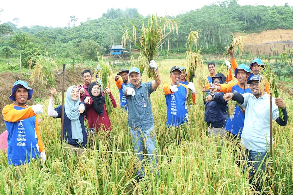  Implementasikan Smart Agriculture, Program Sawah Surjan Pupuk Kaltim Capai Hasil Optimal