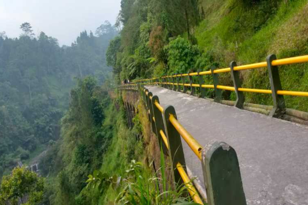  Wisata Plunyon Longsor, Lokasi Syuting KKN di Desa Penari Ini Ditutup