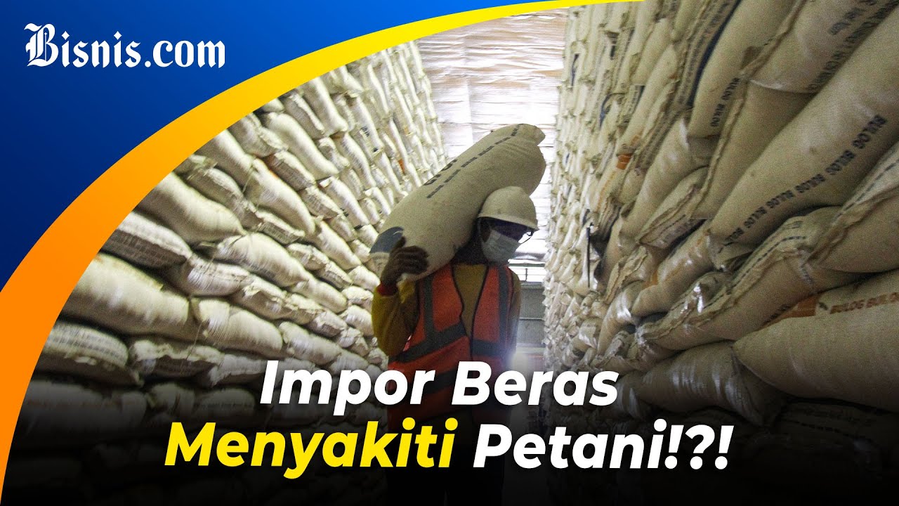  Impor Beras Buat Petani Ragu Hasil Panen Raya Terserap?