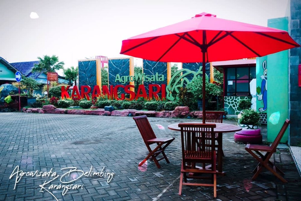  Ini 7 Rekomendasi Wisata Bojonegoro, Cocok Buat Pencinta Alam