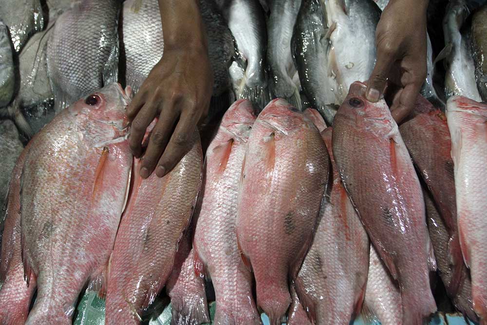  Cuaca Buruk Membuat Pedagang Ikan Segar Kekurangan Pasokan