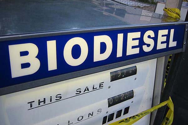 Ilustrasi biodiesel/Reuters