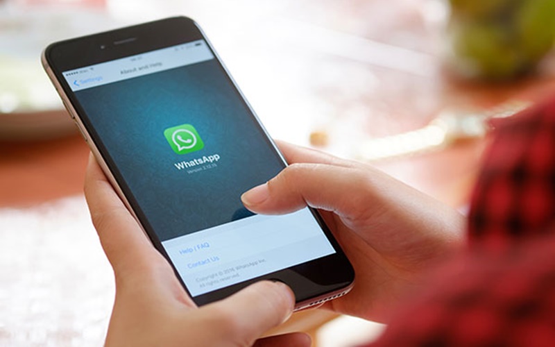 Tanpa MOD, WhatsApp Bisa Digunakan Tanpa Internet, Ini Caranya!