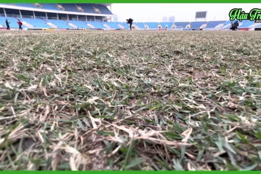 Kondisi rumput di Stadion My Dinh, Vietnam/Hautruong Bongda.