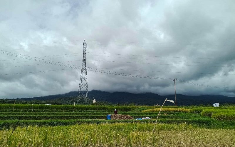  Aktivitas Erupsi Marapi Meningkat, Masyarakat Radius 3 Km Diimbau Kosongkan Wilayah