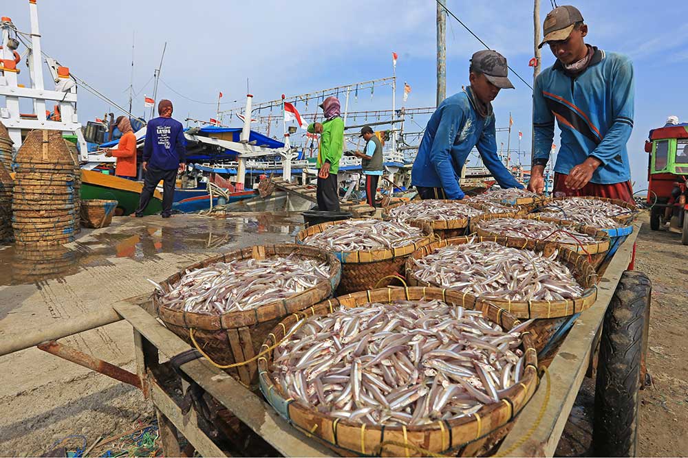 KKP Mencatat PNBP Sektor Perikanan Tangkap Sebesar Rp1,26 triliun Pada 2022