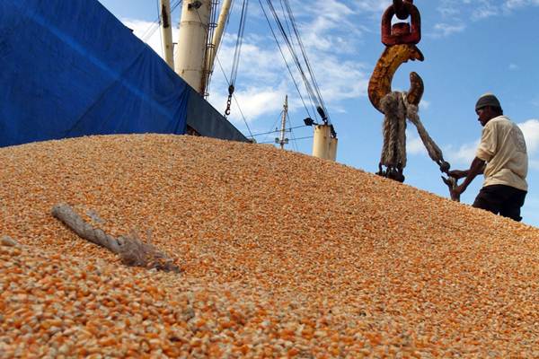Pekerja memindahkan jagung ke atas kapal untuk diekspor, di Pelabuhan Makassar, Sulawesi Selatan, Jumat (23/3/2018)./JIBI-Paulus Tandi Bone