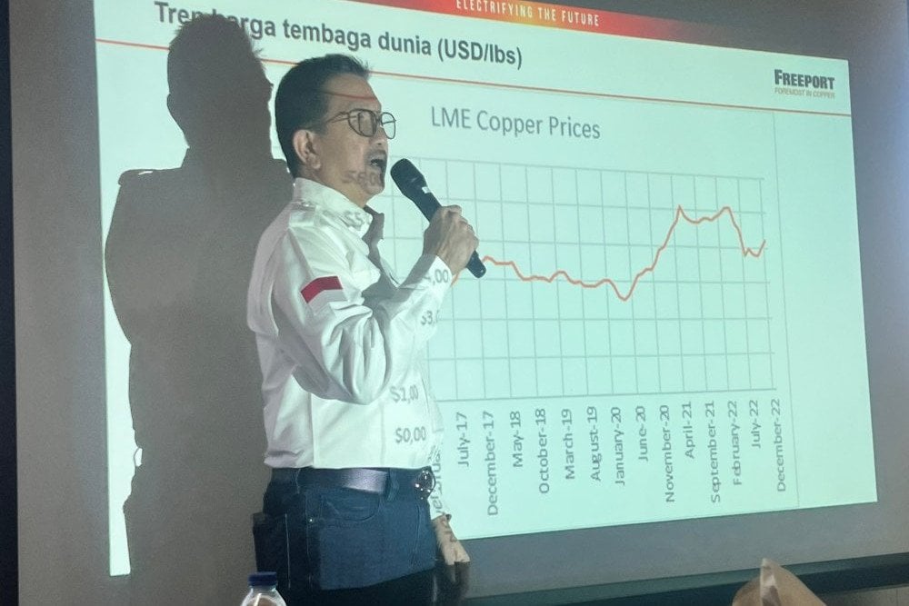  Hingga Akhir 2022, Progres Smelter Freeport Lampaui Target 50 Persen