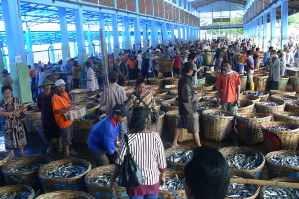 Produksi Perikanan di Laut Banda dan Maluku Baru Terserap 16,3 Persen